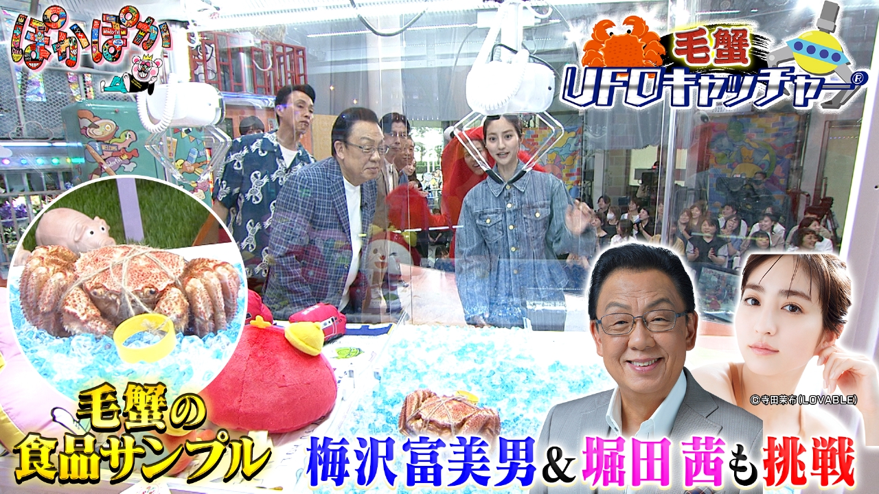 ぽかぽか屋さん ぽかぽか 8月1日(金)放送分 金曜（2）梅沢富美男が毛蟹ゲームGETなるか
