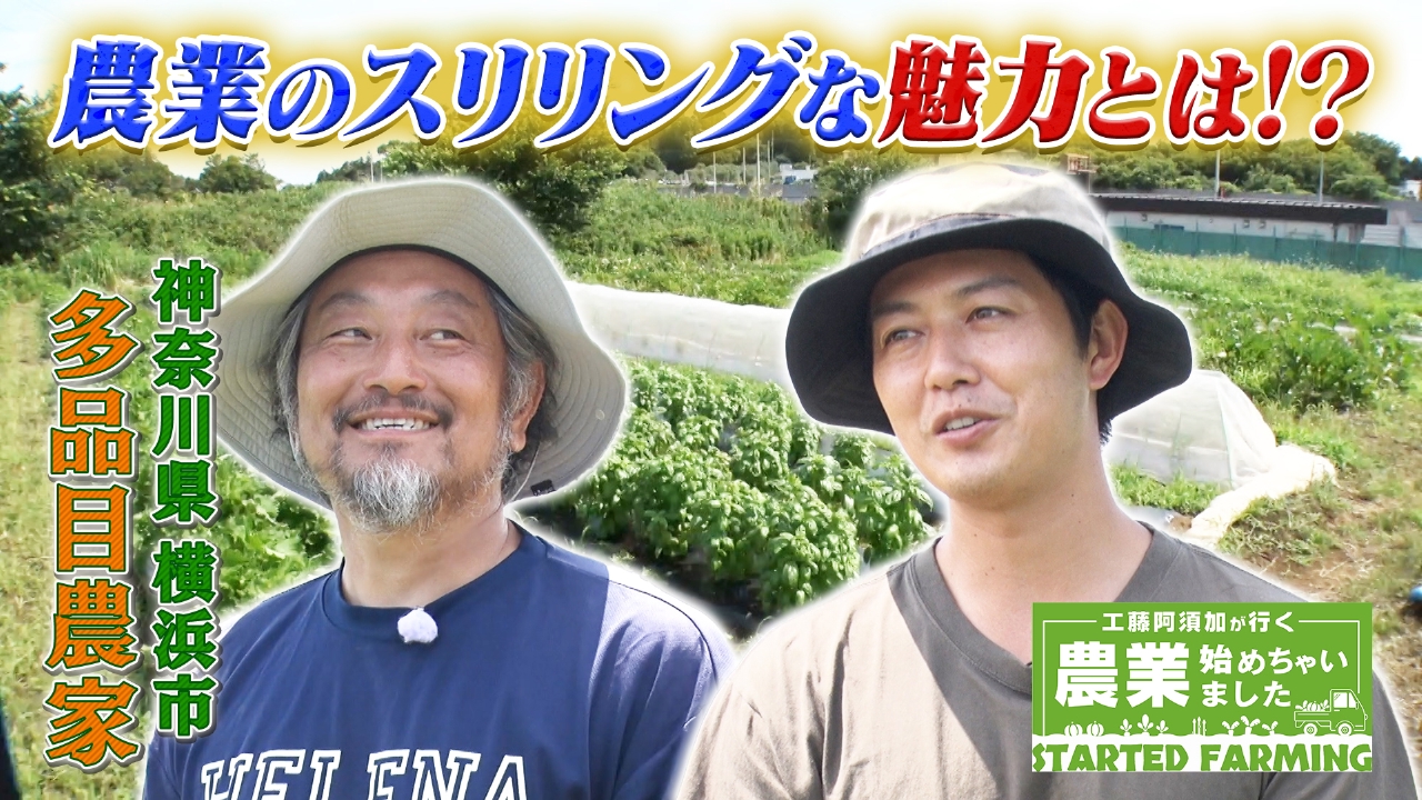 工藤阿須加が行く 農業始めちゃいました 8月27日(水)放送分 コピー