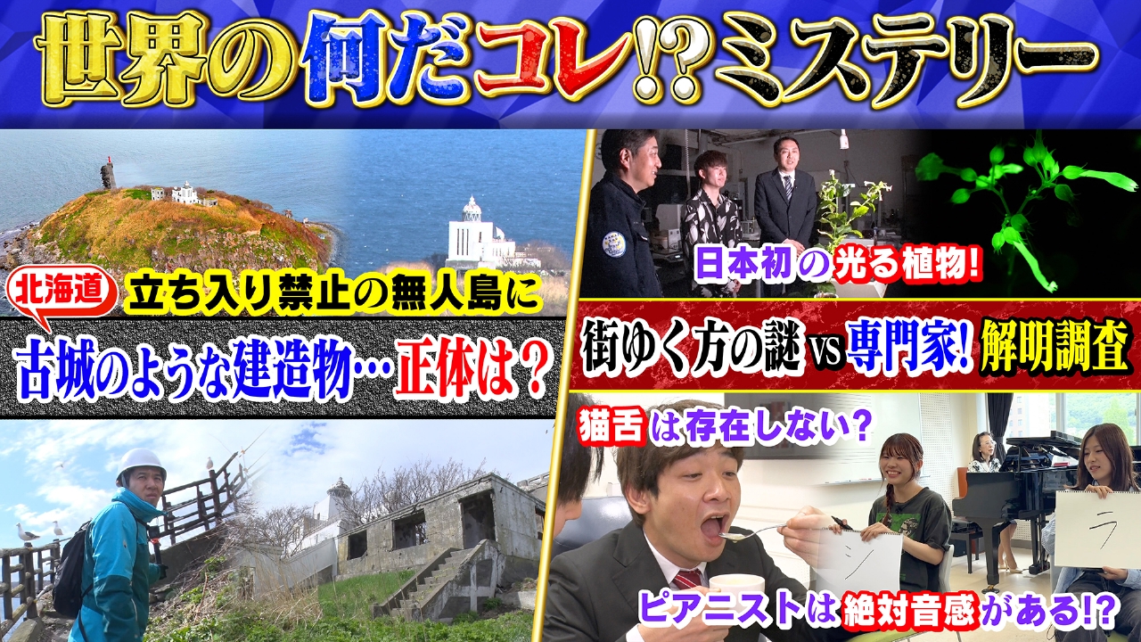 世界の何だコレ！？ミステリー 6月4日(水)放送分 立ち入り禁止の無人島