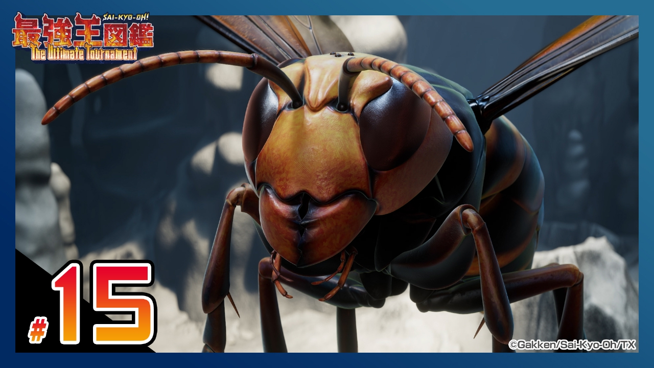 最強王図鑑 ～The Ultimate Tournament～ 7月13日(日)放送分