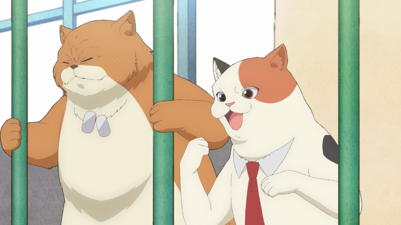 宇宙人ムームー 7月5日(土)放送分 第13話「桜子と文化祭