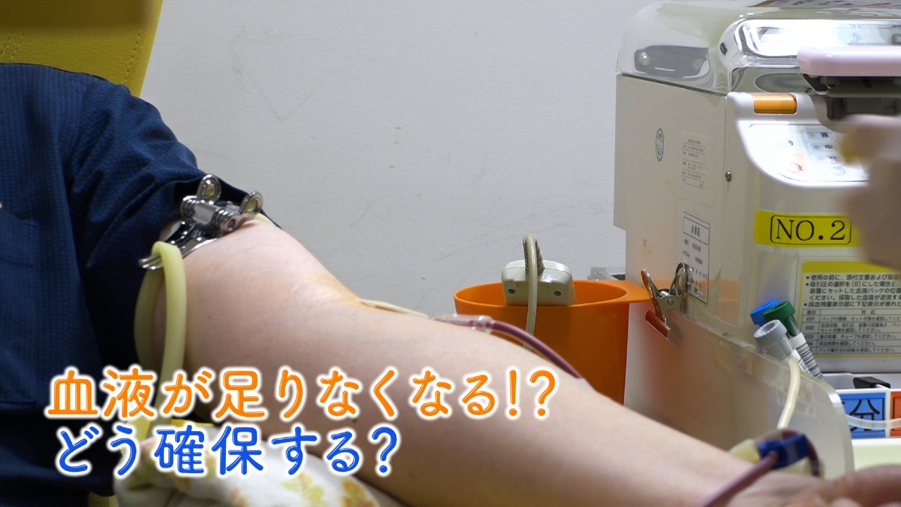 きょうの健康 8月14日(木)放送分 ニュース 「血液が足りなくなる!?どう確保する?」｜報道／ドキュメンタリー｜見逃し無料配信はTVer！人気の動画 見放題