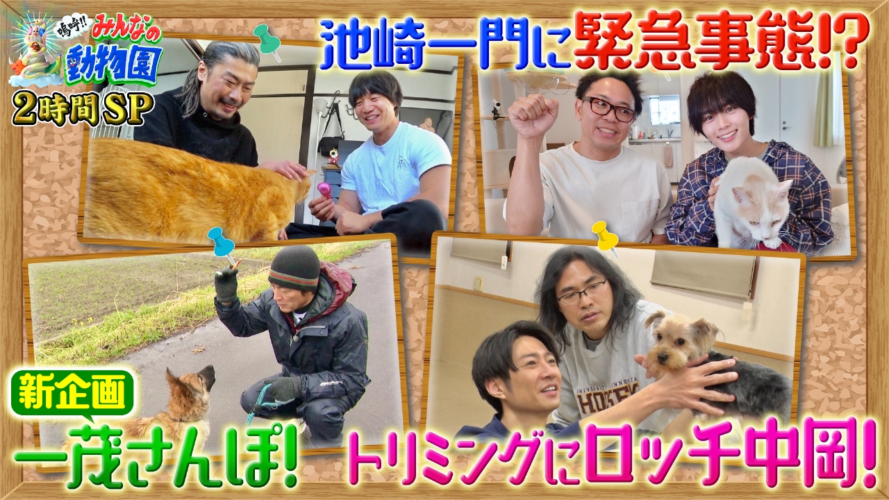 嗚呼!!みんなの動物園 5月17日(土)放送分 史上初の緊急事態…池崎一門激 