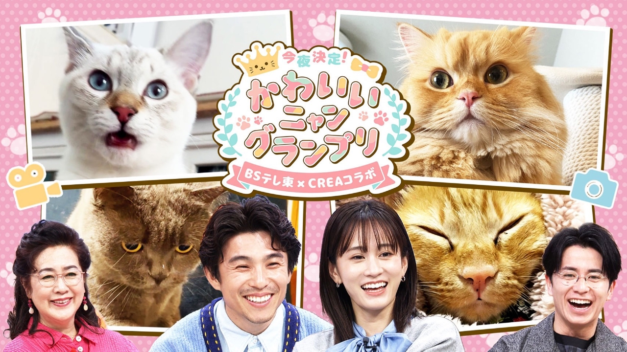 今夜決定！かわいいニャングランプリ～BSテレ東×CREA コラボ～ 2月22日 