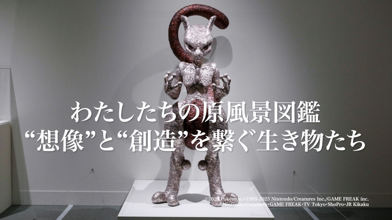 活動歴および当時の関連ビジュアル記録