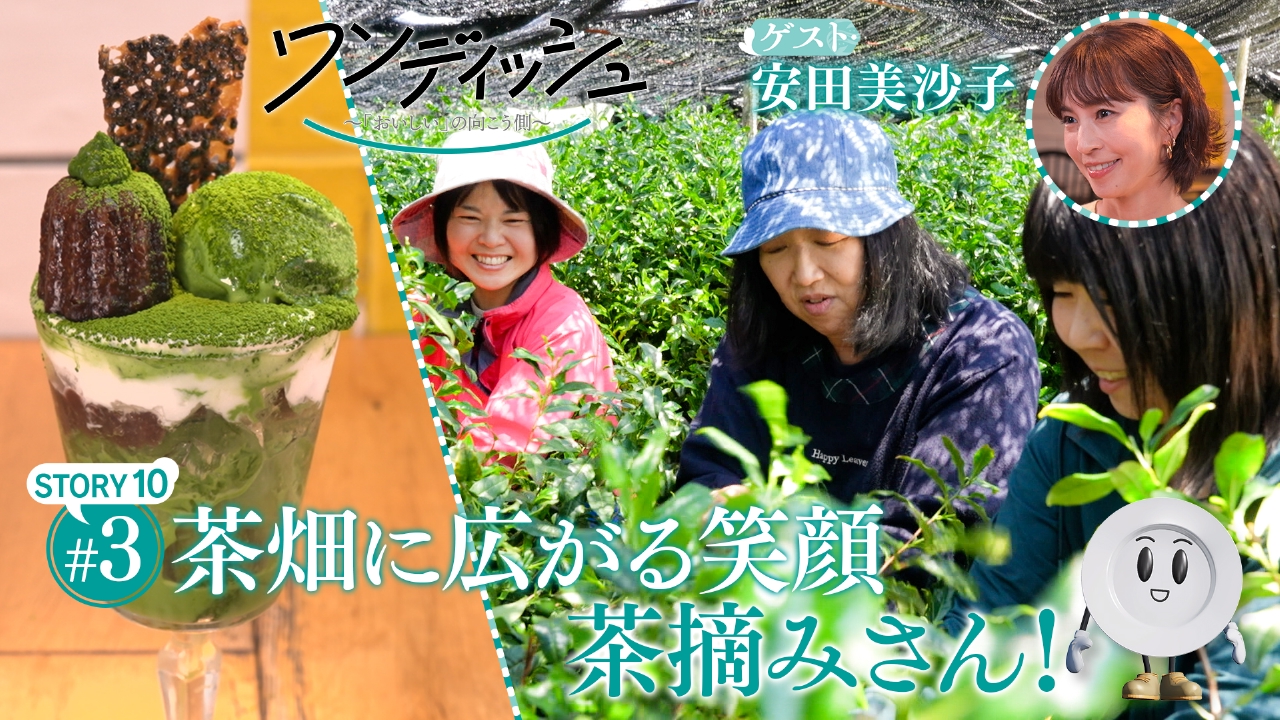 ワンディッシュ～「おいしい」の向こう側～ 7月27日(日)放送分 京都