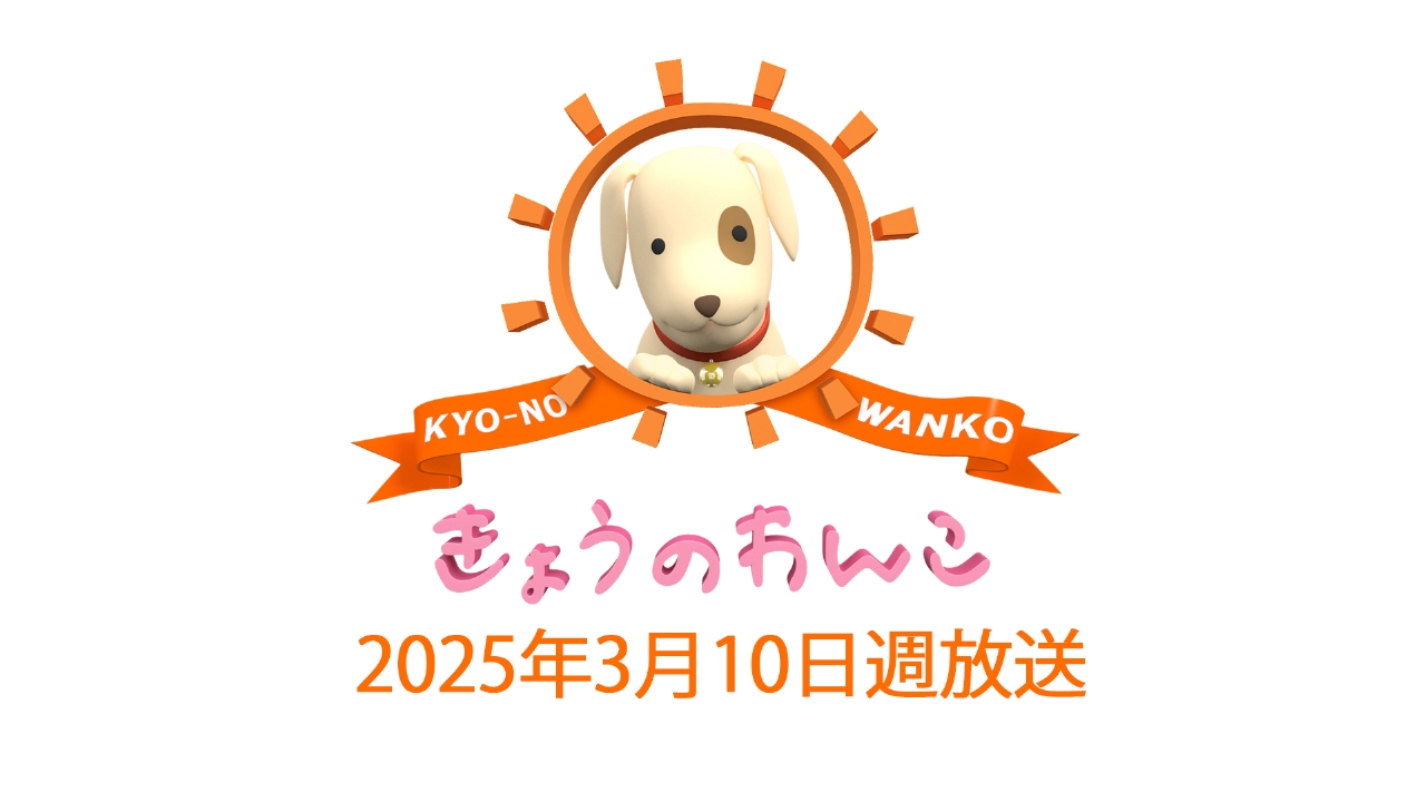 きょうのわんこ 2025/3/10週放送 2025/3/10週放送 きょうのわんこ