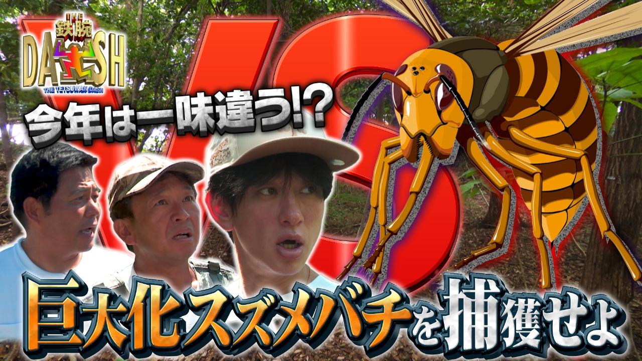 ザ！鉄腕！DASH!! 10月5日(日)放送分 グリル厄介は福岡!凶暴化する