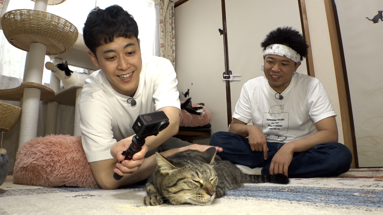 ねこ自慢 5月14日(水)放送分 猫のおかげで英語が上達する英語教室