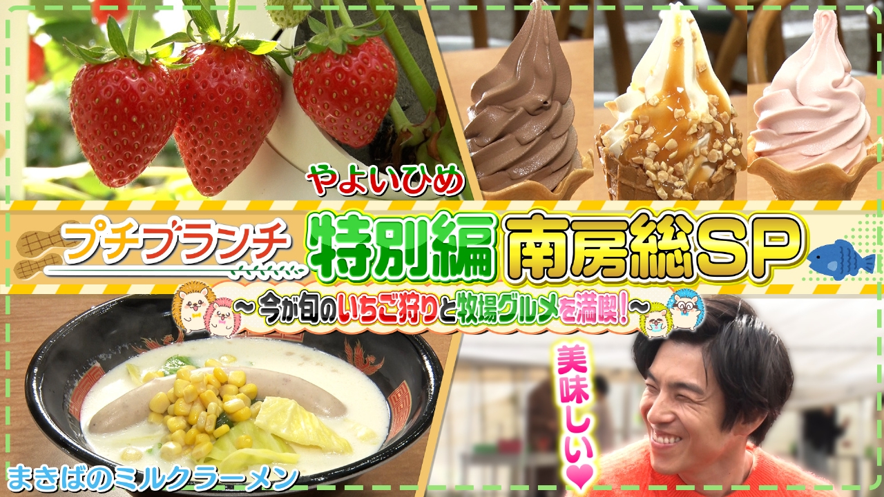 プチブランチ 4月3日(木)放送分 【南房総王道SP】マザー牧場でいちご