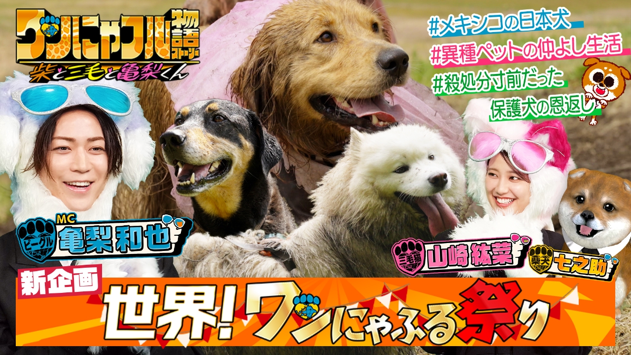 世界を救う！ワンにゃフル物語～柴と三毛と亀梨くん～ 7月16日(水)放送