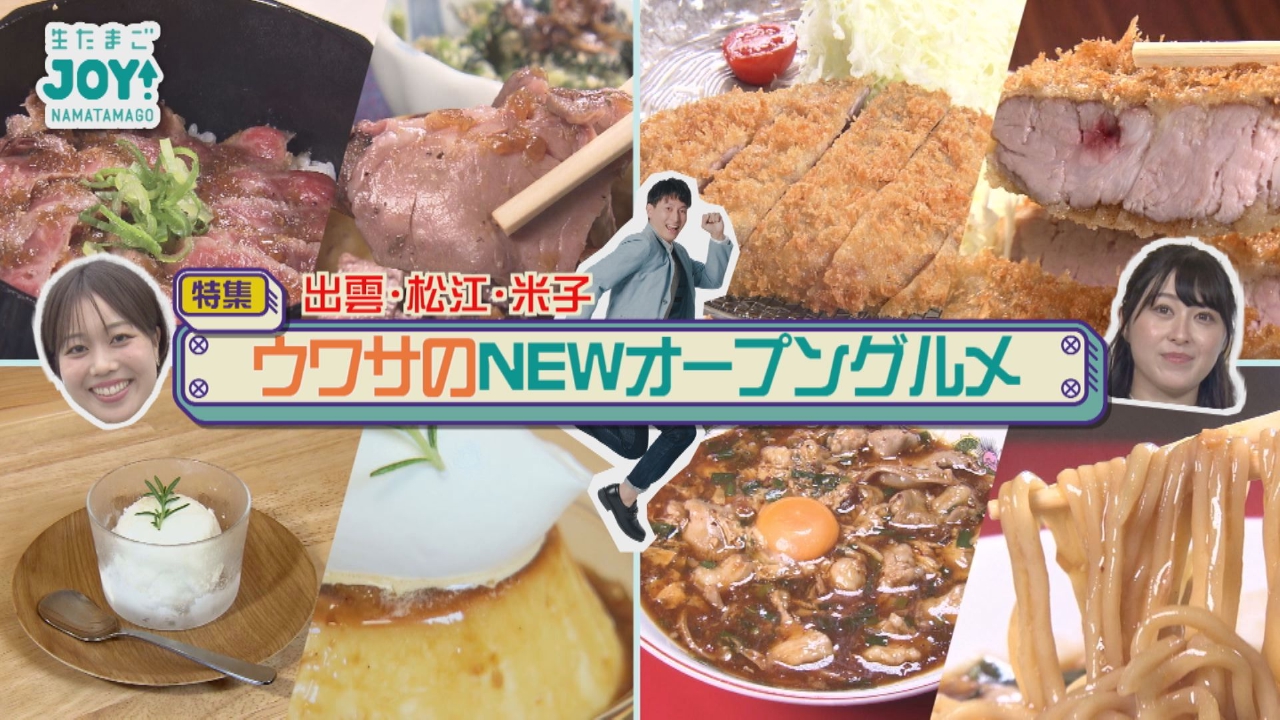 決まりました)バウンサー 西松屋・おやすみたまご バウンサー