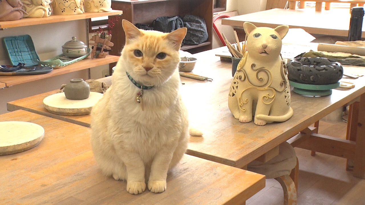 ねこ自慢 8月20日(水)放送分 阿佐ヶ谷姉妹が「猫のダヤン」作者の自宅