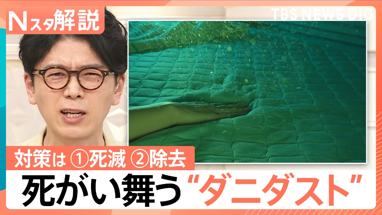 TBS NEWS DIG Powered by JNN 9月11日(木)放送分 9月は“ダニダスト”に