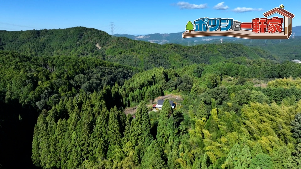 Nゲージ 鉄道模型 草地と山　ポツンと一軒家 Nゲージ 鉄道模型 草地と山 ポツンと一軒家 ポツンと一軒家 3月9日(日
