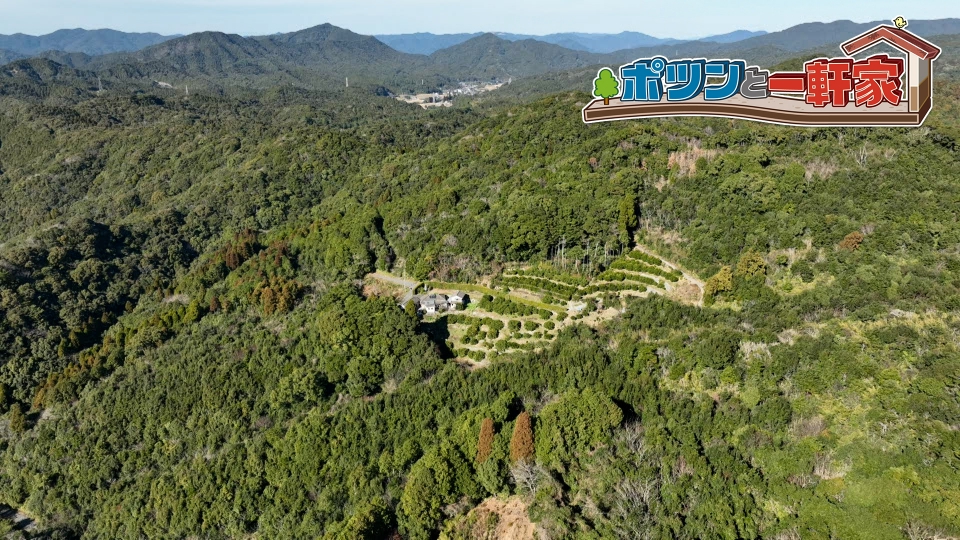 ポツンと一軒家 3月9日 リアルタイム配信 先祖代々続く山奥のミカン畑