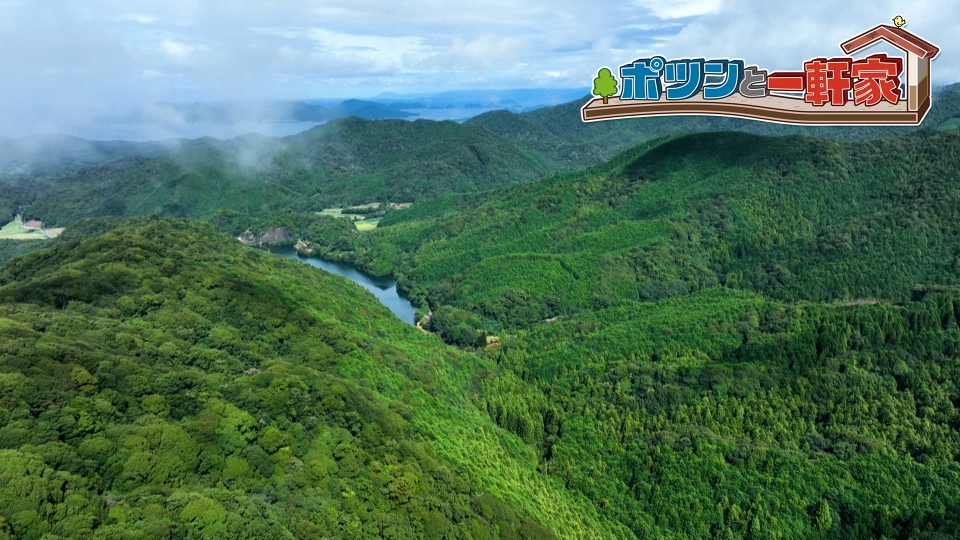 ポツンと一軒家の切り絵です！ ポツンと一軒家 11月2日 リアルタイム配信 山口県の13代続くポツンと