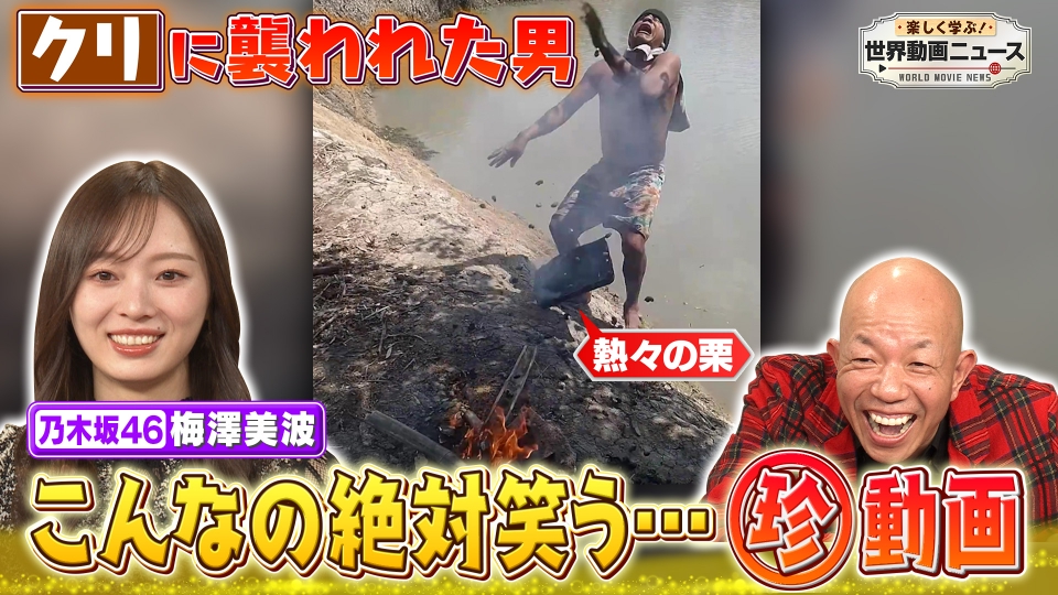 楽しく学ぶ！世界動画ニュース 2月13日 リアルタイム配信 【爆笑&奇跡