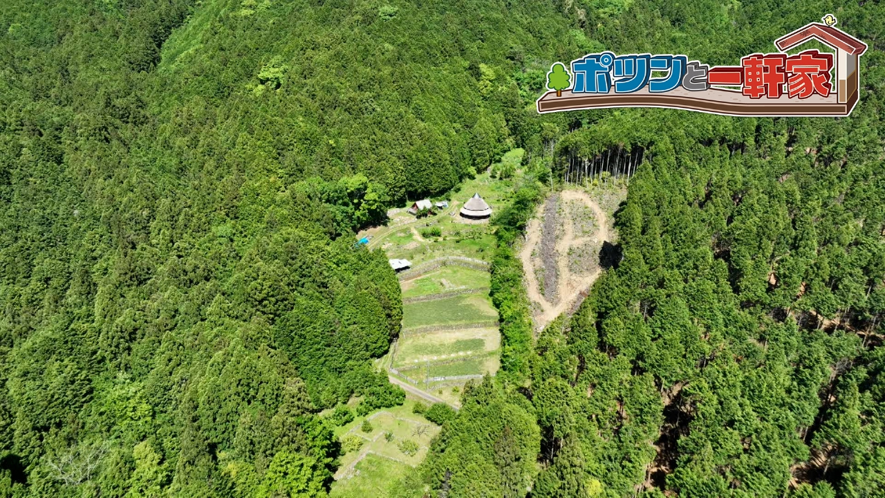 ジャングル 旧テレビ