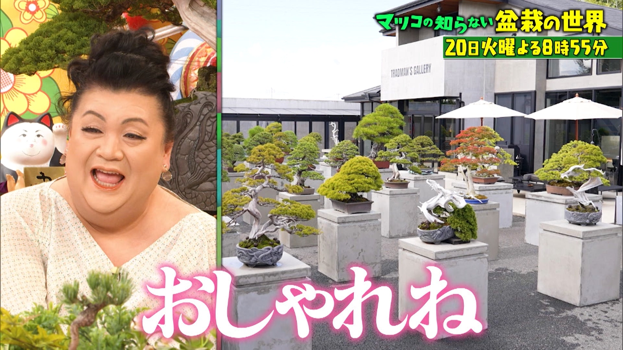マツコの知らない世界 1月20日 リアルタイム配信 海外大ブーム!異端児