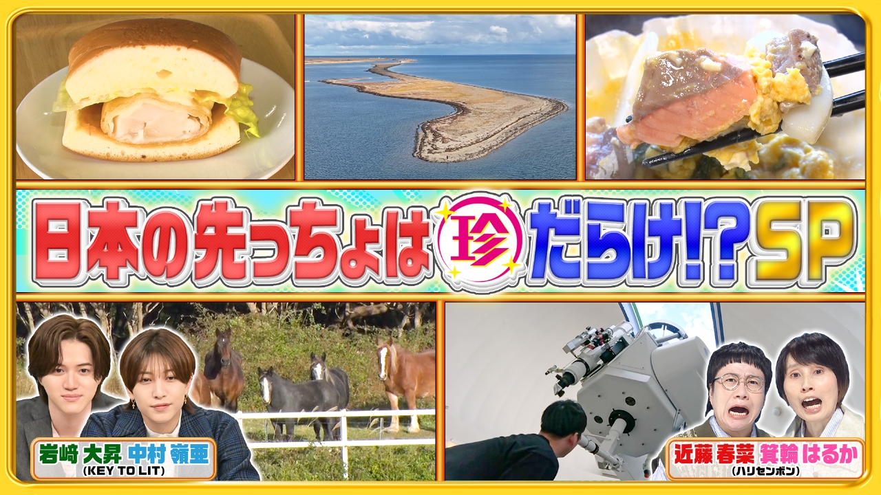 ナニコレ珍百景 11月16日 リアルタイム配信 新企画「日本の先っちょを