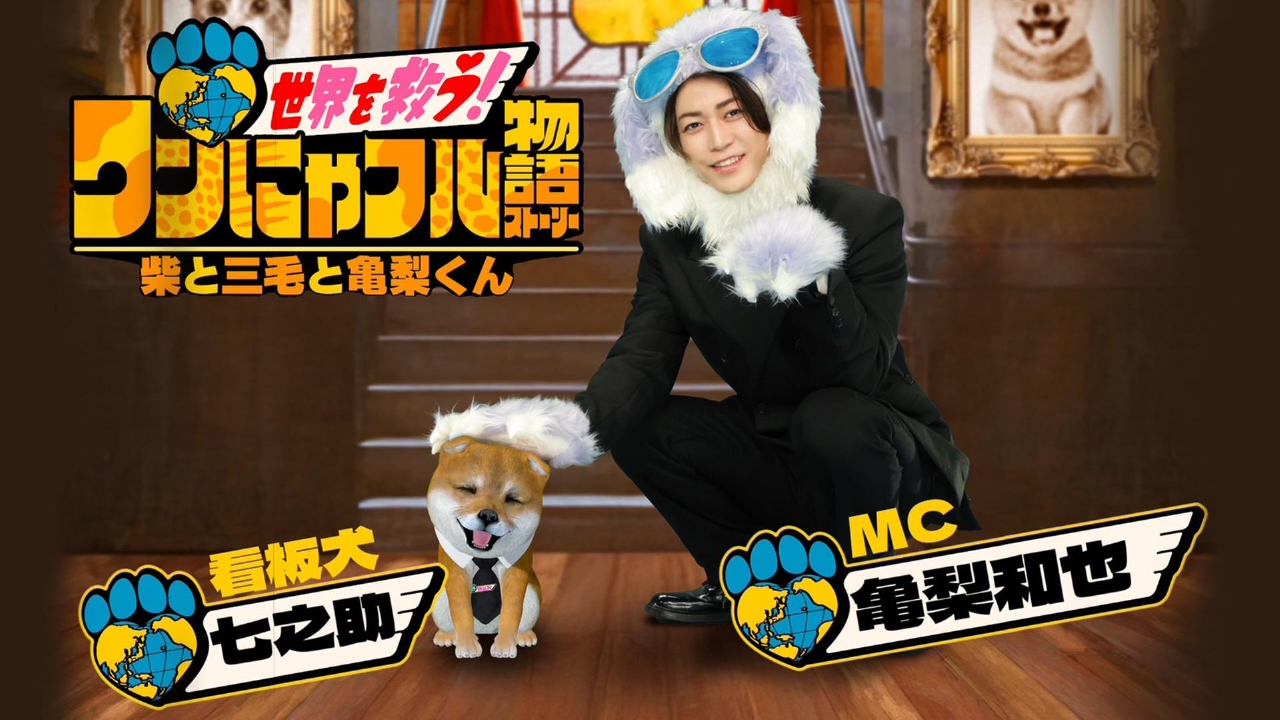 ゴッコ堂 　オオカミ犬 trunk show 新品 世界を救う！ワンにゃフル物語～柴と三毛と亀梨くん～ 5月28日