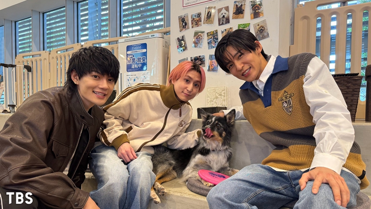 わんにゃん観察バラエティ アニマリング 3月14日 リアルタイム配信