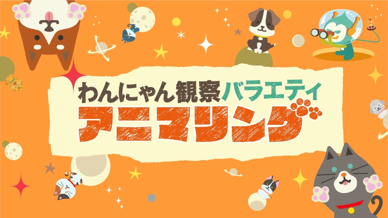 わんにゃん観察バラエティ アニマリング 2月14日 リアルタイム配信