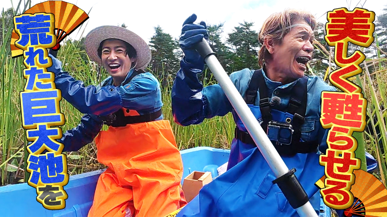 神木の葉 卸売 ご協力いただける方はぜひご相談ください。 相葉ヒロミのお困りですカー？ 10月23日 リアルタイム配信 【ヒロミ