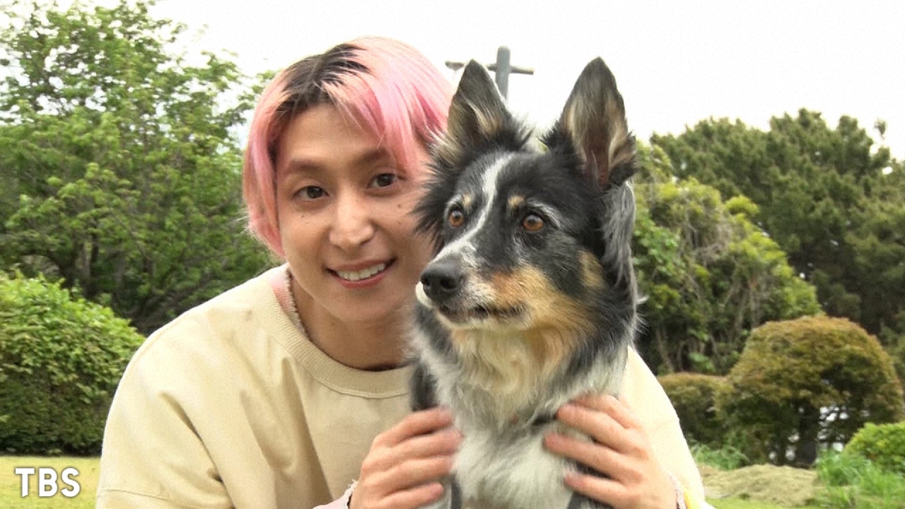 わんにゃん観察バラエティ アニマリング 5月23日 リアルタイム配信