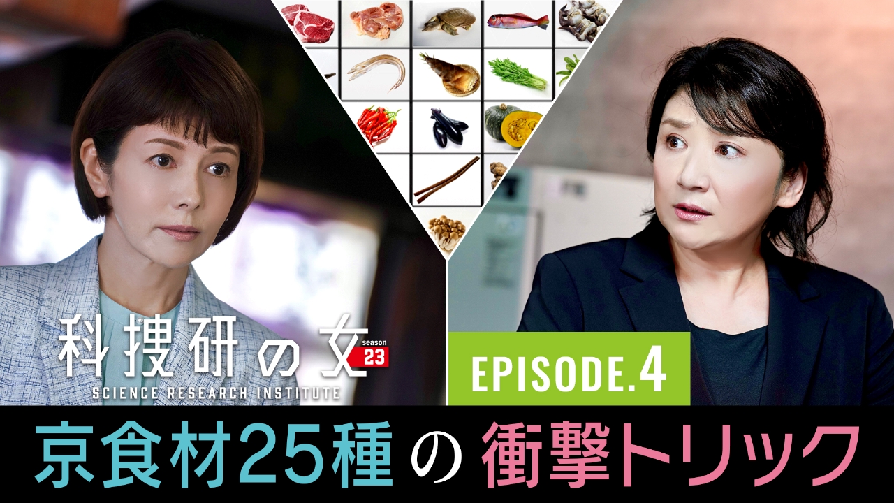 科捜研の女 season23 9月6日 リアルタイム配信 第4話｜テレビ朝日 