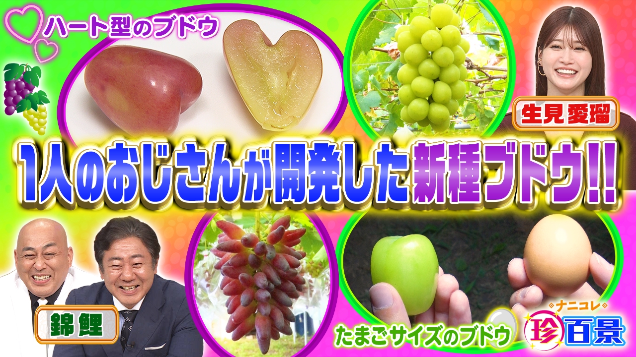 ナニコレ珍百景 9月22日 リアルタイム配信 たった1人で新品種のブドウ