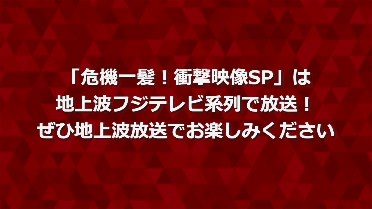 地上波放送番組のお知らせ 3月23日 リアルタイム配信 「危機一髪！衝撃 