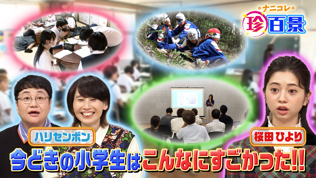 ナニコレ珍百景 10月8日 リアルタイム配信 2023年10月8日放送 最新 
