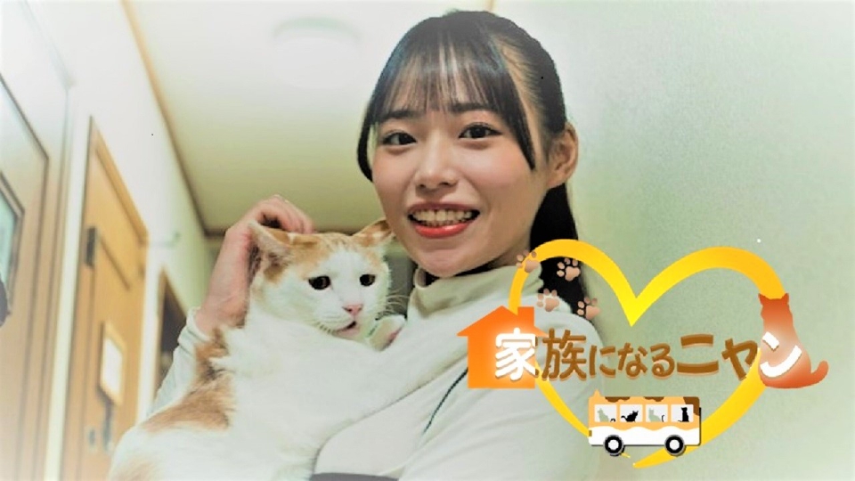 家族になるニャン｜バラエティ｜見逃し無料配信はTVer！人気の動画見放題