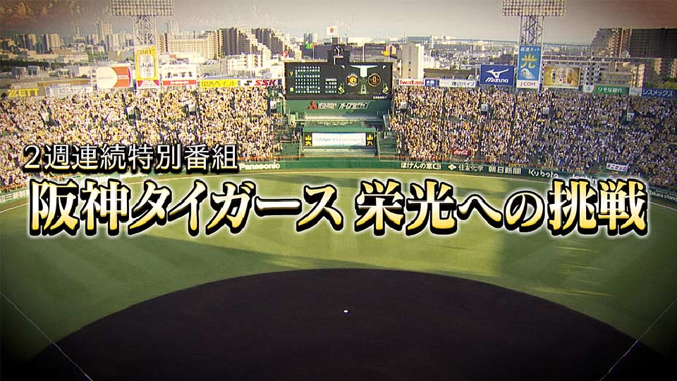 超希少品】阪神タイガース栄光への道