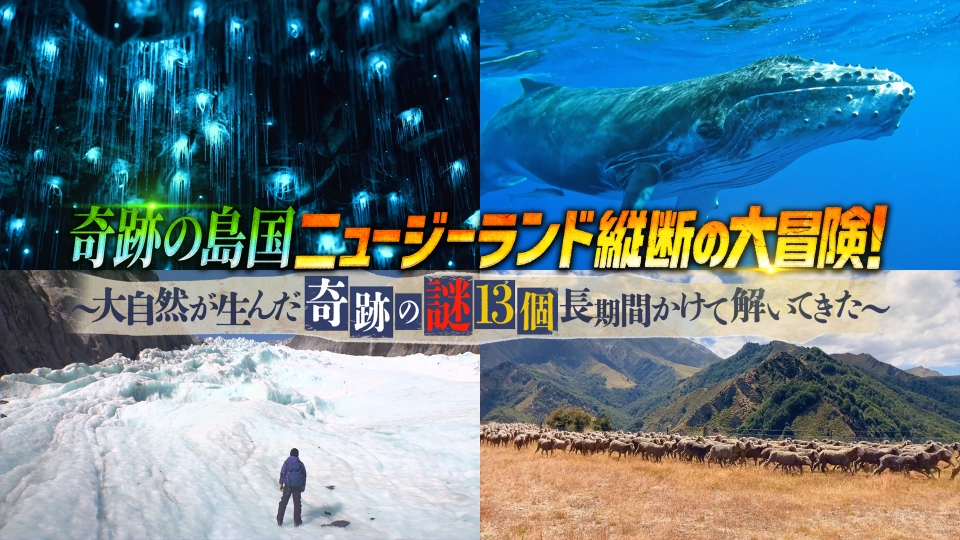 テレビ朝日開局65周年記念 奇跡の島国 ニュージーランド縦断の大冒険