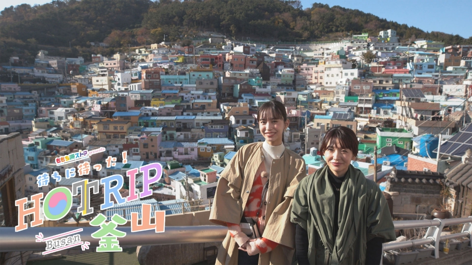 ももち浜ストアpresents 待ちに待った！HOTRIP釜山｜バラエティ
