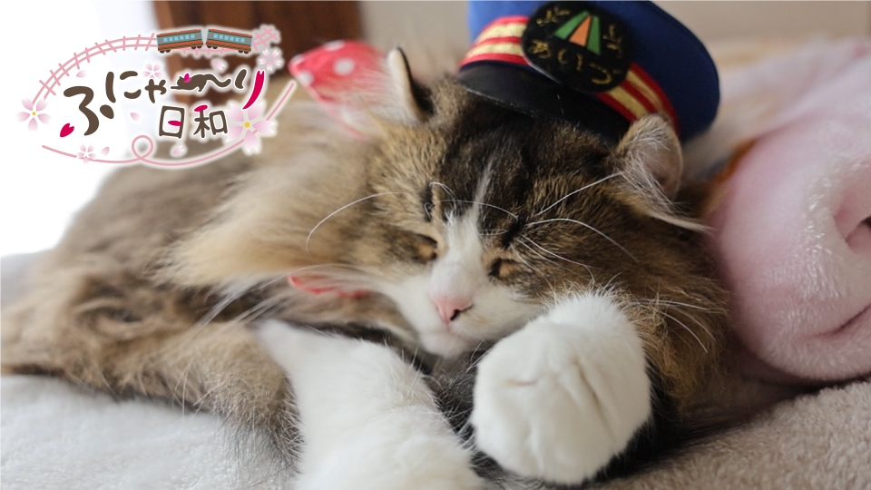 ふにゃ～り日和｜バラエティ｜見逃し無料配信はTVer！人気の動画見放題