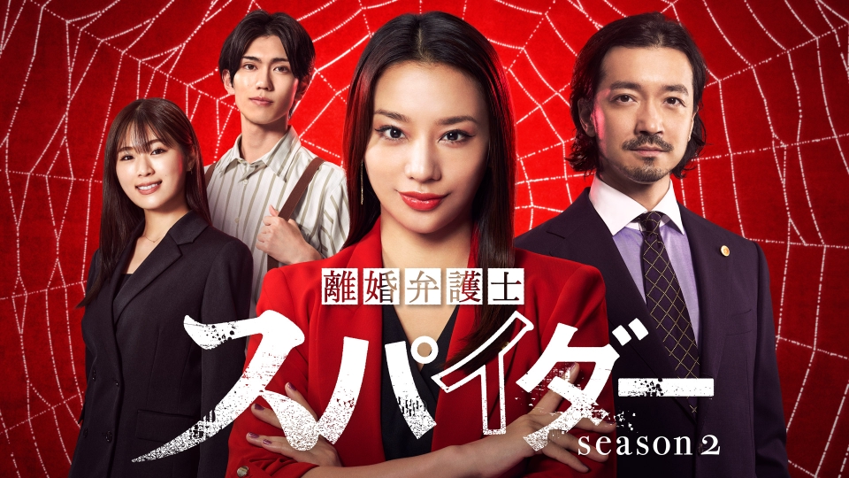 離婚弁護士　1期＋2期＋スペシャル　全12巻セット　完結　DVD　ドラマ 離婚弁護士 スペシャル | ポニーキャニオン