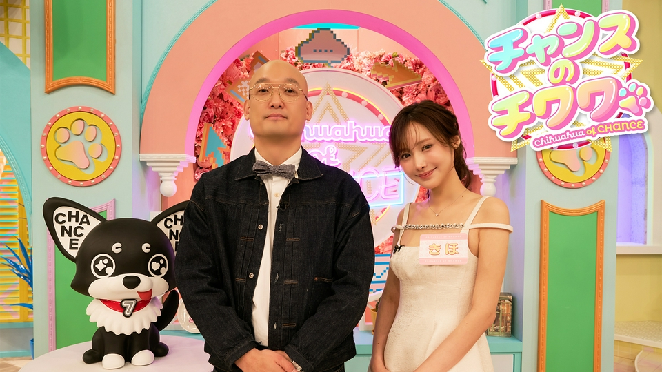 チャンスのチワワ｜バラエティ｜見逃し無料配信はTVer！人気の動画見放題