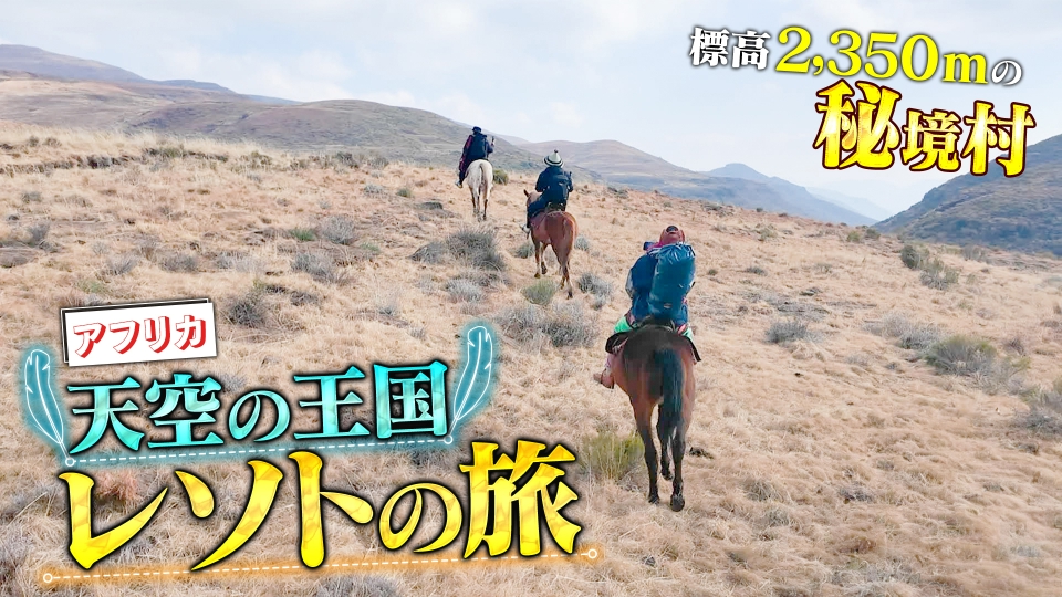 1/196｜バラエティ｜見逃し無料配信はTVer！人気の動画見放題