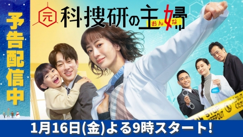 元科捜研の主婦