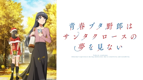 青春ブタ野郎はサンタクロースの夢を見ない