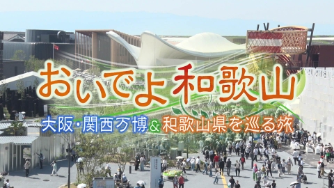 おいでよ和歌山　大阪・関西万博＆和歌山県を巡る旅