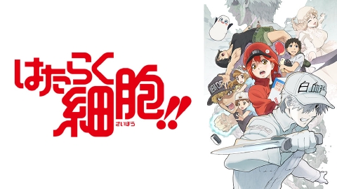 【送料無料】はたらく細胞シリーズ　56冊 まとめ売り はたらく細胞 全巻セット（全6巻） | 八文字屋OnlineStore