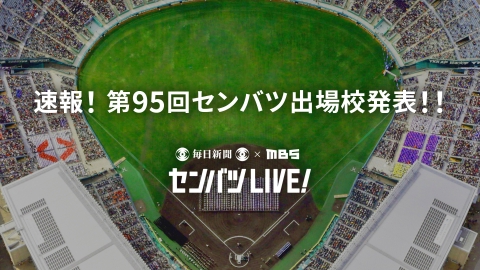 長野県タイプＡ、遠野城、春日城、藤沢城、イベント限定 長野県タイプA、遠野城、春日城、藤沢城、イベント限定