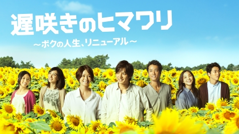 遅咲きのヒマワリ～ボクの人生,リニューアル～ DVD 全巻セット 遅咲きのヒマワリ～ボクの人生、リニューアル～ DVD－BOX