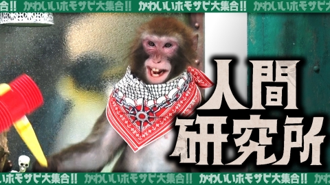 人間研究所 ～かわいいホモサピ大集合!!～