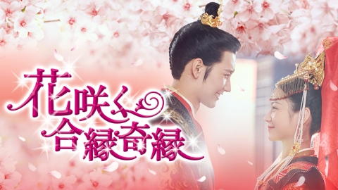 『花咲く合緑奇縁』レンタル落ちDVD★全巻★中国ドラマ DVD】花咲く合縁奇縁 DVD-BOX2 中国ドラマ 花咲く合縁奇縁 DVD